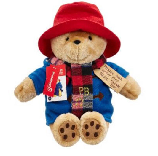 Large Paddington With Scarf