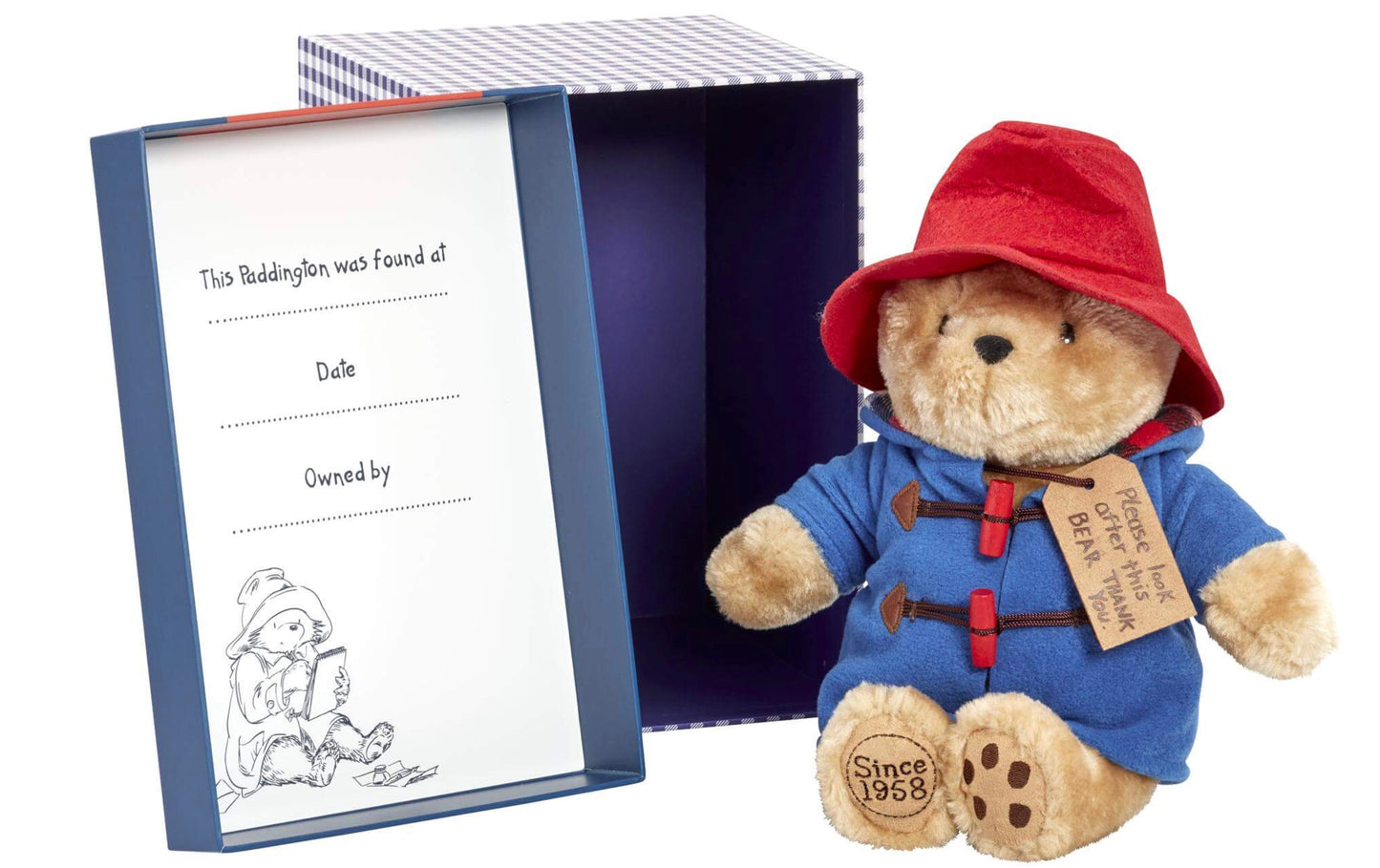 Paddington In Collectors Box